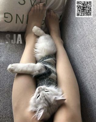 茶杯狐努力让找电影变得更简单_1080P免费观看电视剧