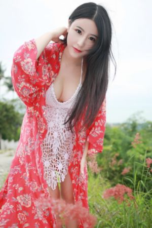 中华英雄之风云再起_日韩手机在线观看