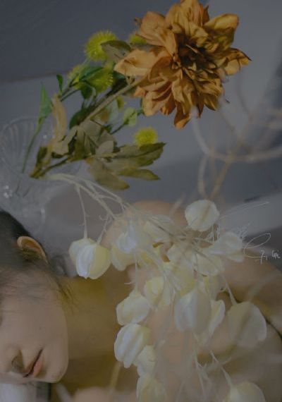 湿润的女人在线观看_剧情片免费全集观看
