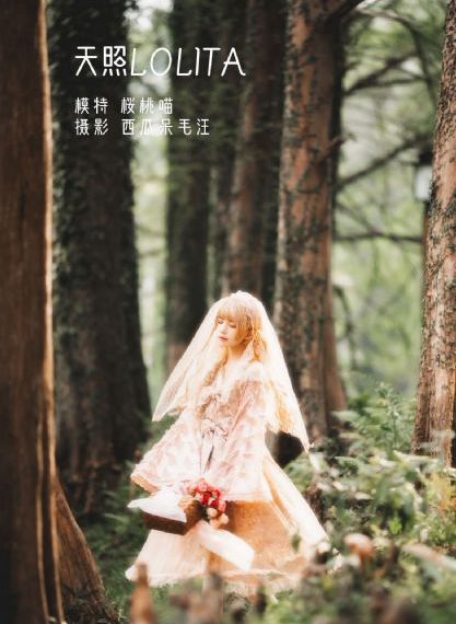 龙珠超国语版普通话_国语版在线观看免费