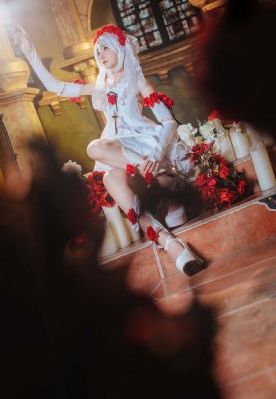 jojo石之海免费观看全集_超清在线观看电视